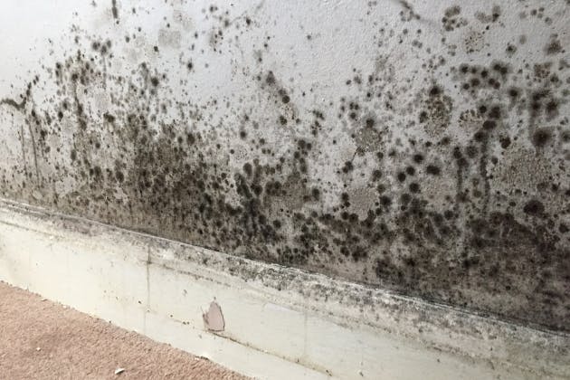 signs of damp