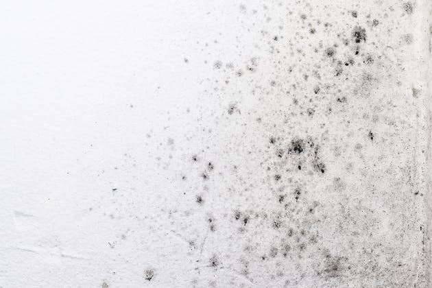 Could Failing Wall Ties Be Responsible For Penetrating Damp In Your Home?