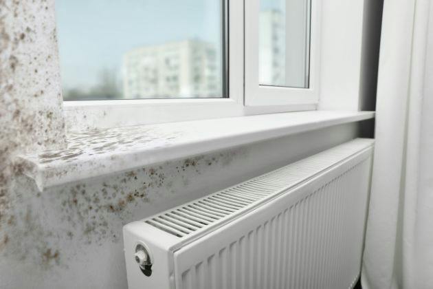 Why Do Houses Get Cold Spots on Walls? Common Causes